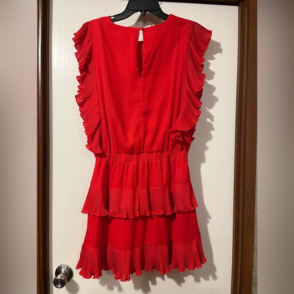 TCEC Red Ruffle Dress - Picture 3 of 3